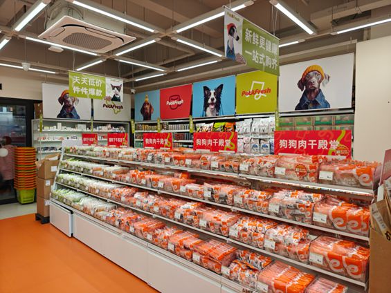 生丨宠物坐高铁侯毅下厨房MG不朽情缘实探