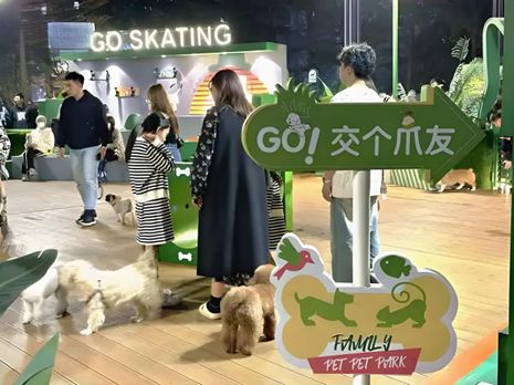 生丨宠物坐高铁侯毅下厨房MG不朽情缘实探派特鲜(图3)