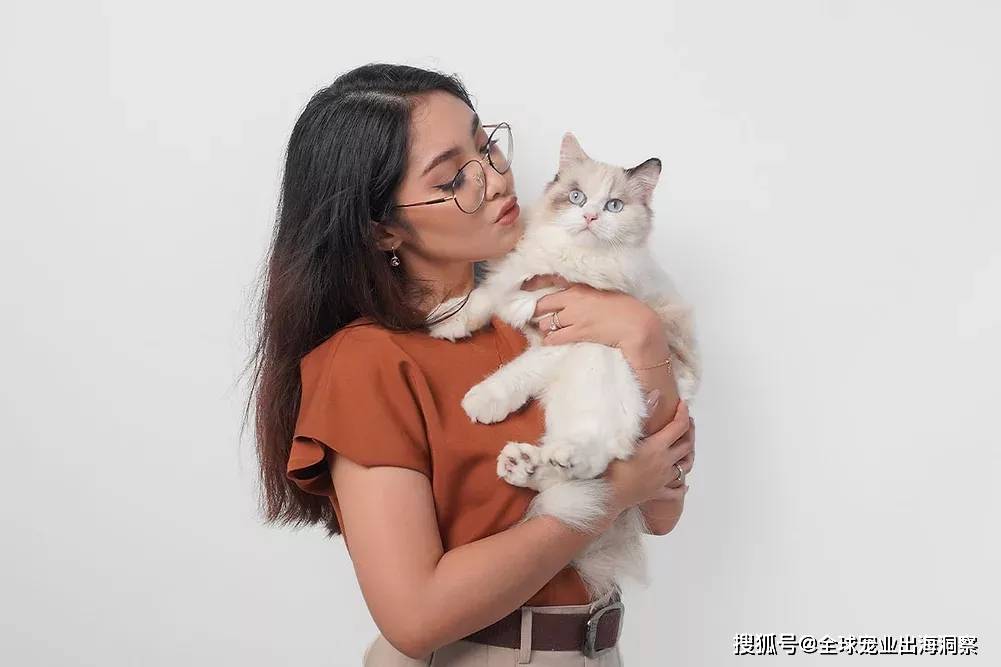 苏等地大推宠物经济国产宠物减肥药要来了不朽情缘游戏手机版广东、浙江、上海、江(图6)